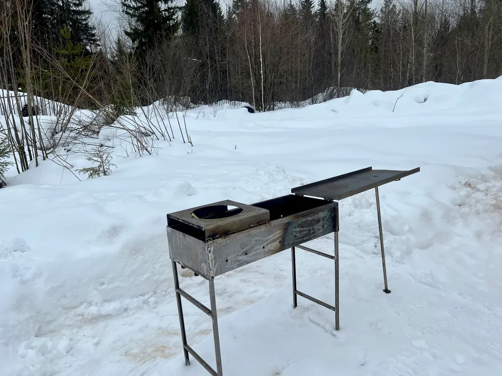 Домик у леса