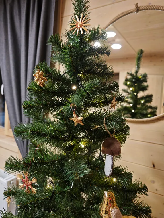 Дом с видом на лес Дача грибника