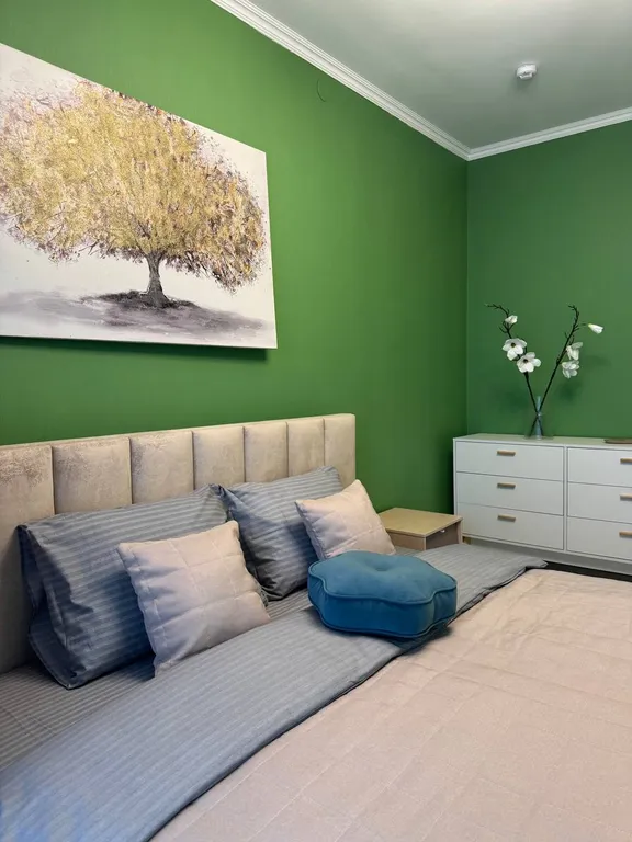 Уютные однокомнатные апартаменты