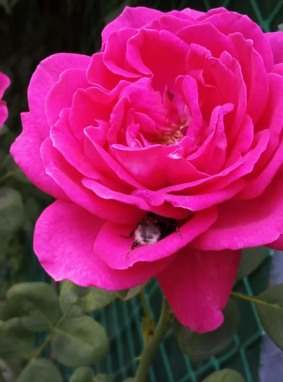 Уютные домики в гостеприимном городе