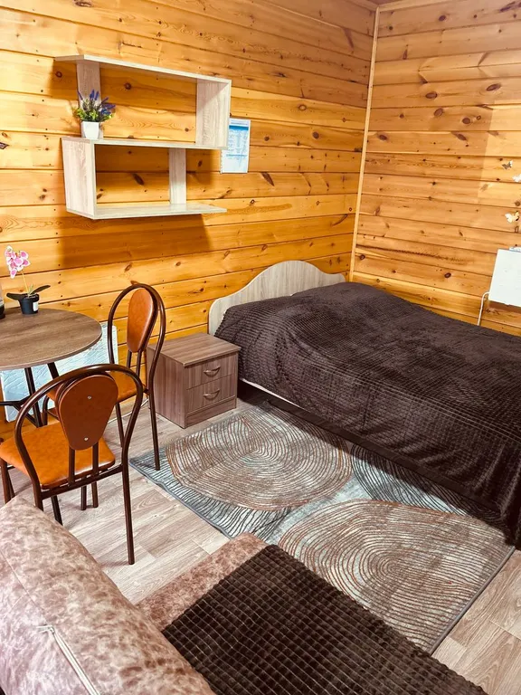 Уютный номер с двухместной кроватью и кресло-кроватью №3