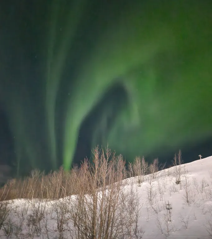 Хибины зовут! Уютное гнездышко для горнолыжников у подножия горы.