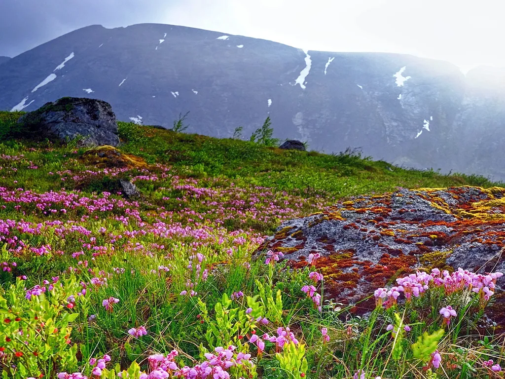 Шикарный коттедж с сауной у подножия Хибинских гор