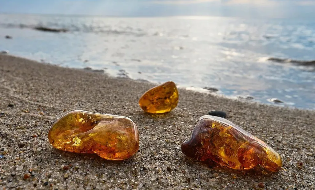 Квартира Апартаменты четыре сезона — аренда посуточно в Зеленоградск