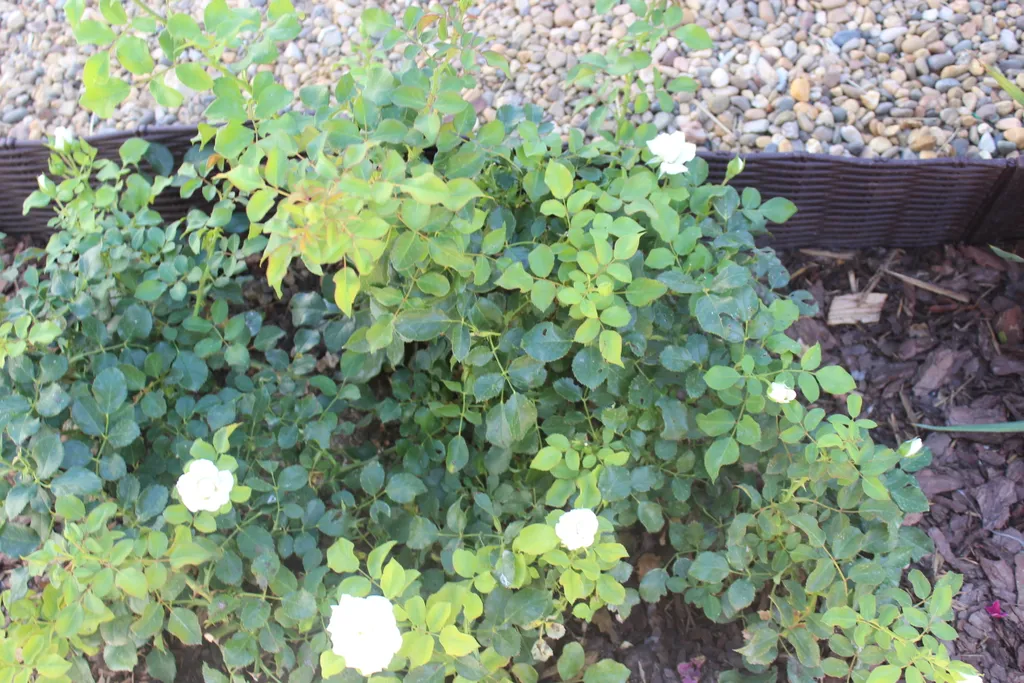 Апартамент в уютном частном секторе