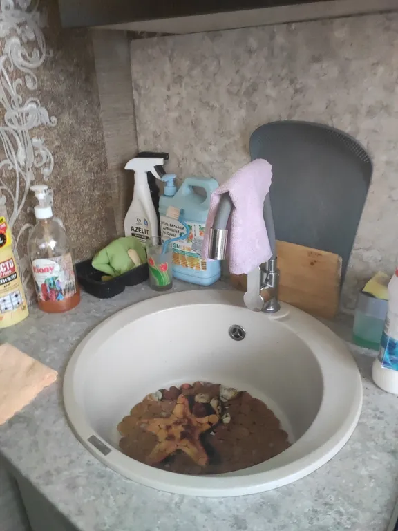 Уютная студия в центре города