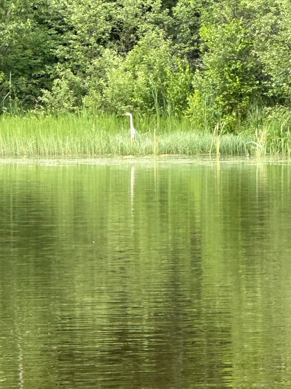 Дом у воды Sutoki Villa