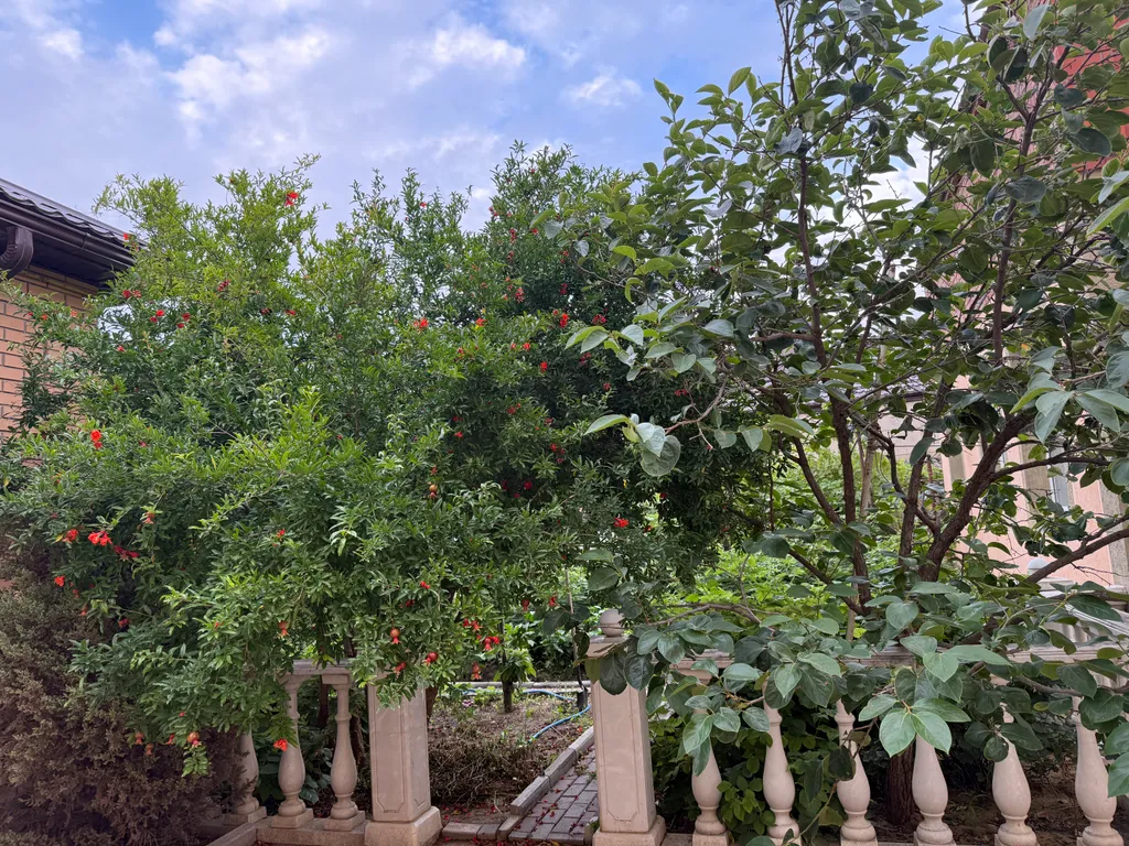 Уютный дом для семейного отдыха