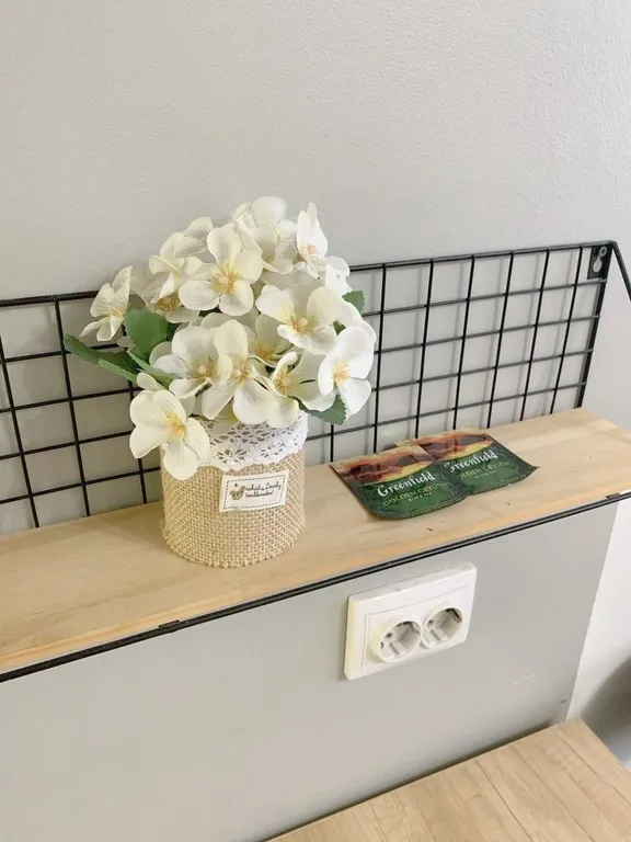 Студия в центре города