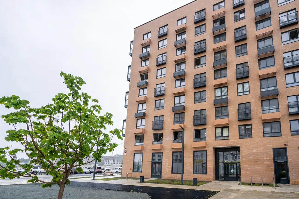 Новая студия на патрокле