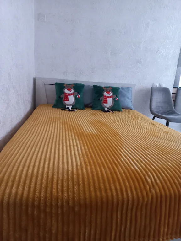 Квартира в центре города