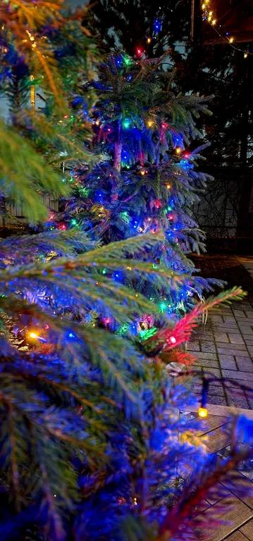 Большой коттедж у озера