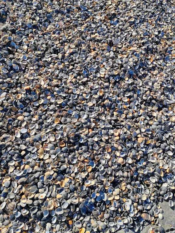 Квартира в центре у моря