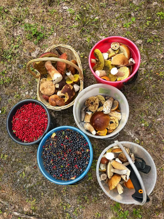 «Шале у Озера 1»