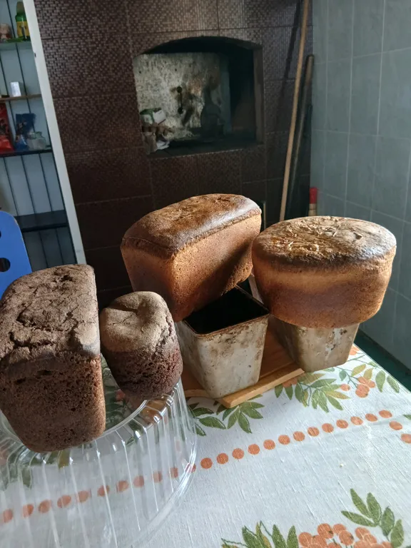 Дом с баней на дровах