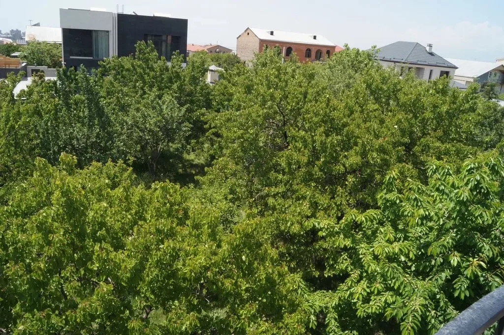 Коттедж дом с видом на Арарат