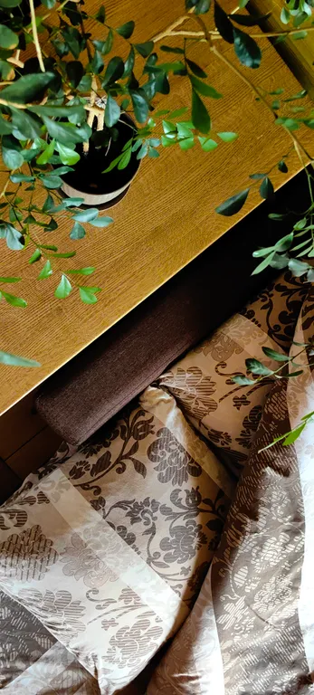 Дом в Беловежской пуще