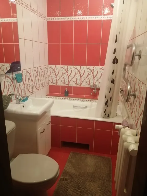 Apartment Beryozovka