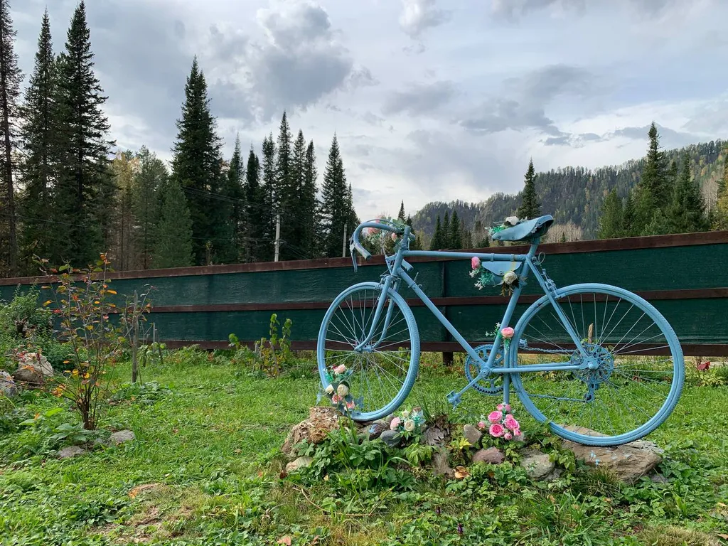 Дом на Алтае рядом с горами и рекой Бия