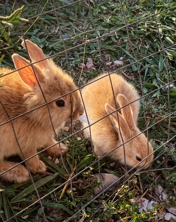 Студия в олимпийском парке