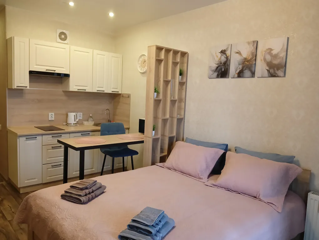 Уютная студия в ЖК Алые паруса с панорамным видом на реку Волхов