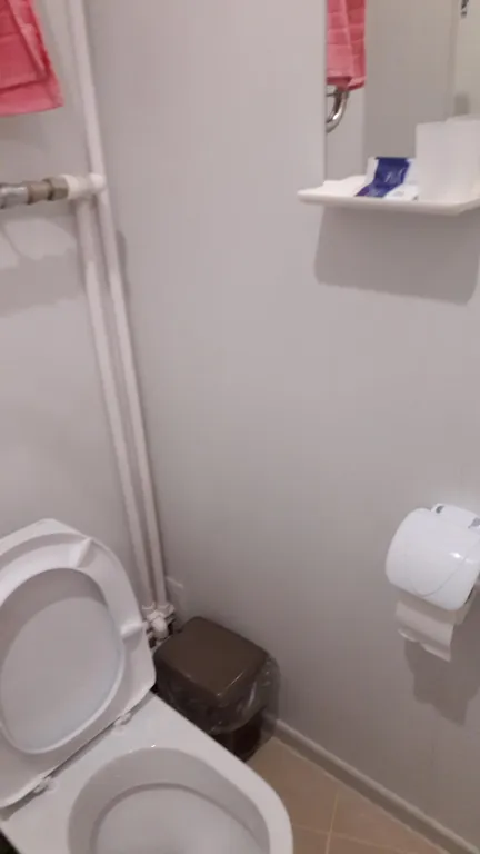 Студия улучшенная в Гостевом доме Домашний