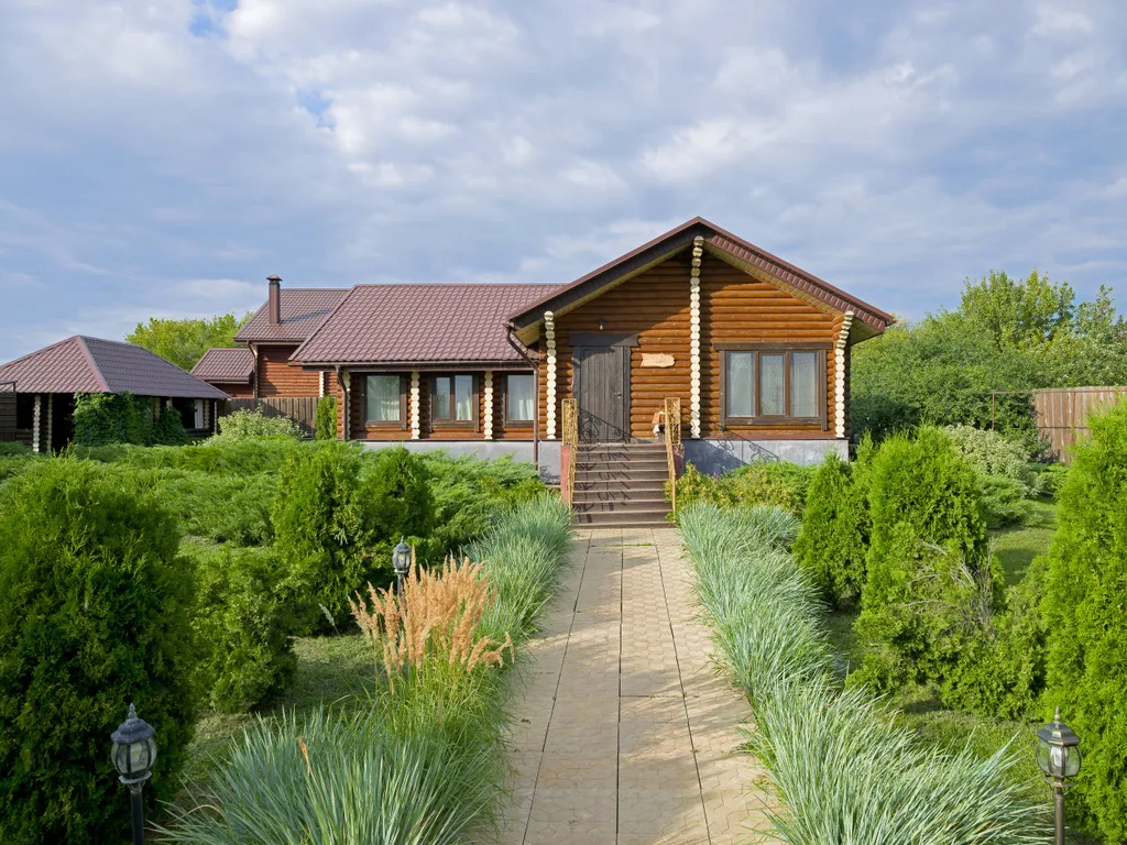 Гуси Лебеди