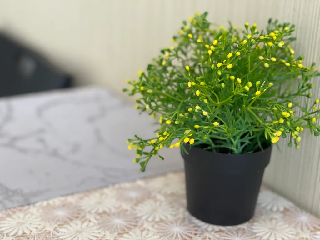 Квартира Отличная квартира в доме на Манежной — Тверь