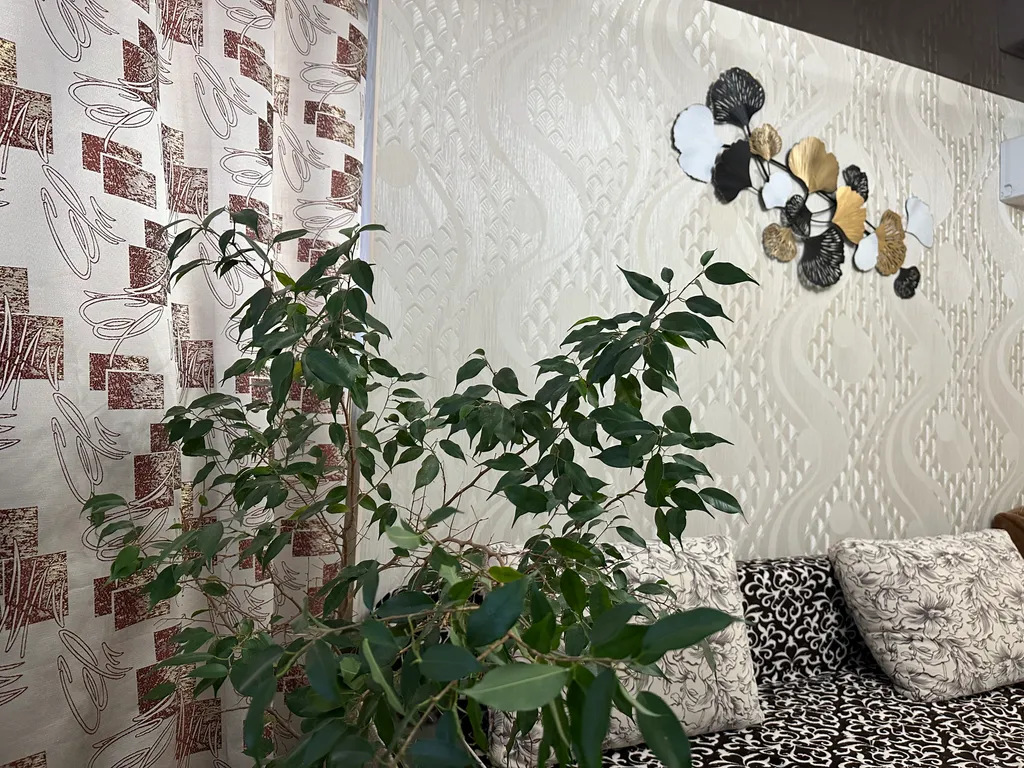 Квартира Уютная зонированная квартира на Черном море — Анапа