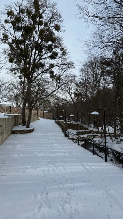 Шале в черте города с выходом в лес