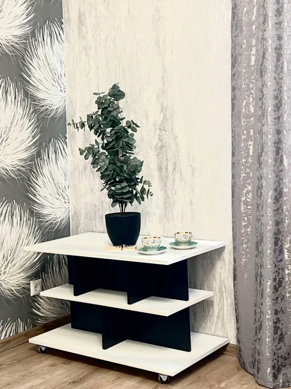 Апартаменты Шалом в центре города