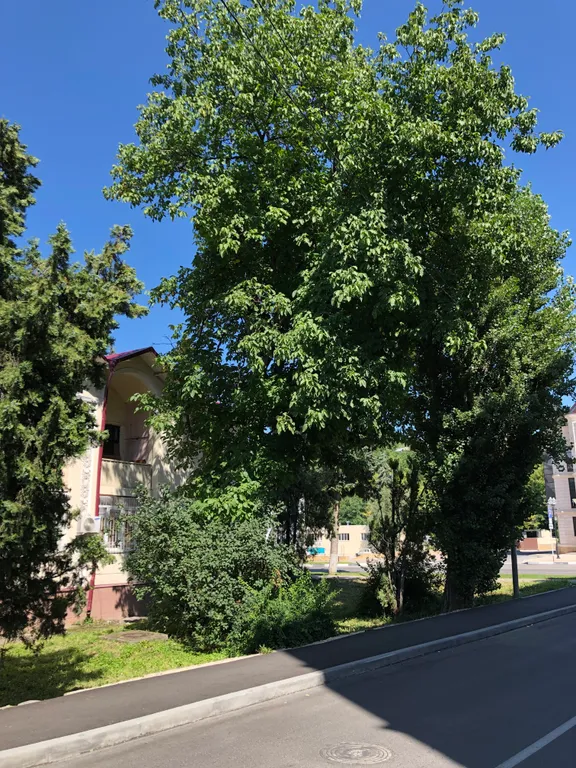 Уютная квартира в центре Кисловодска