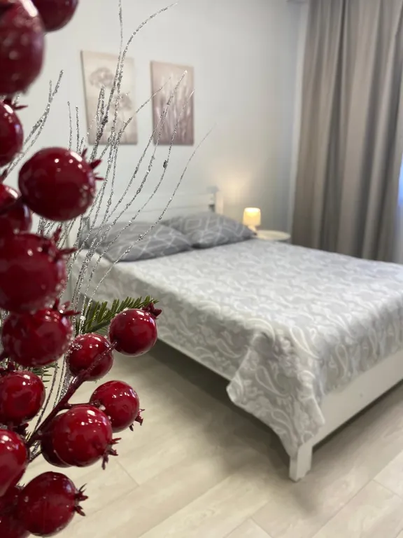 Красивая квартира на 4 места, недалеко от Гипер Лента — аренда посуточно в Улан-Удэ