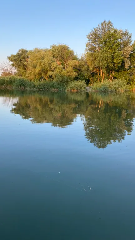 Дача у реки