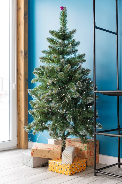 Апартамент Ольга Ларина