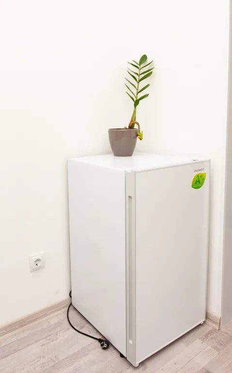 Квартира Уютная квартира в Калининграде — Калининград