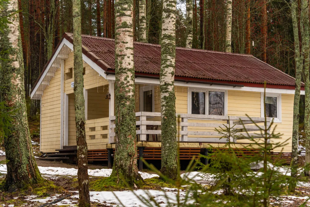 Малый коттедж у леса