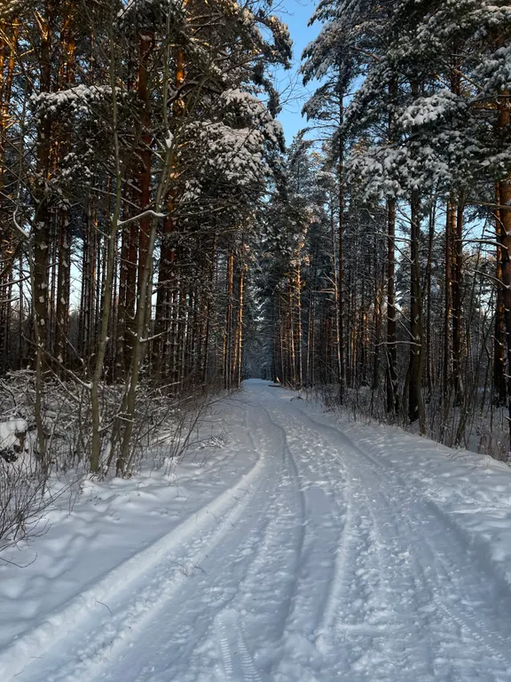 Дом с сауной и банным чаном