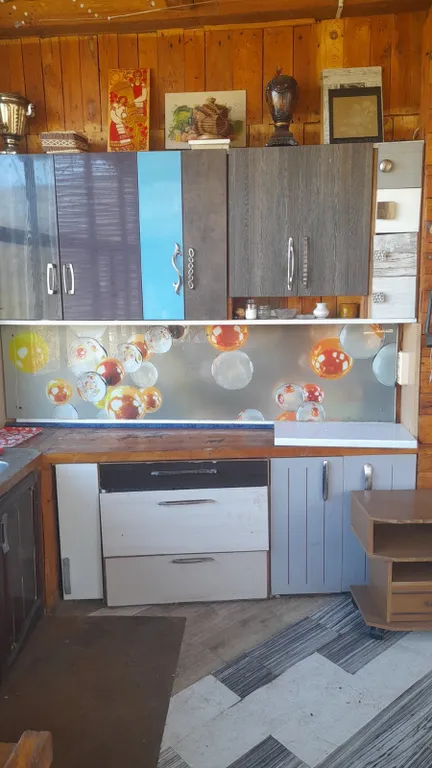 Большой дом с бассейном и диско, в ретро стиле около аэропорта Минск