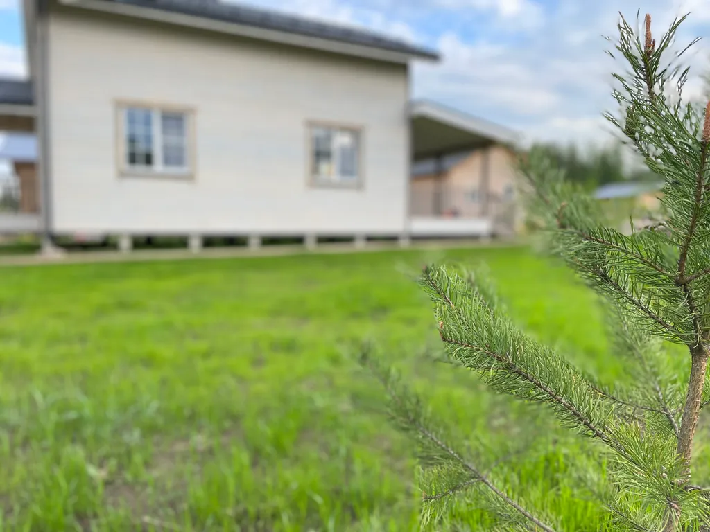 Дом Лесная гавань