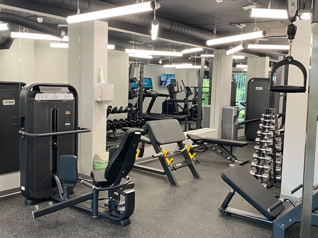 Студия на Новый Год в Курортном районе