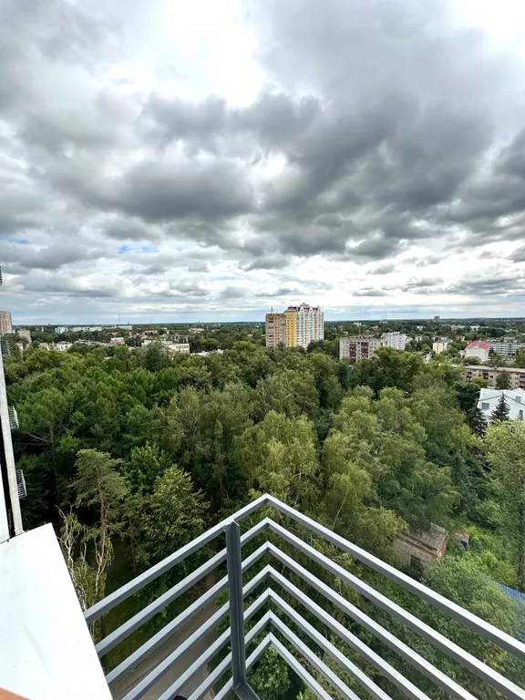 Новые апартаменты в парке в одной минуте от озера Сенеж