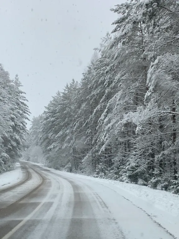 Домик в Белорусской Швейцарии