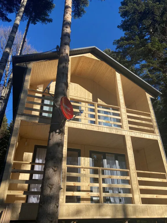 Коттедж в лесу, 12 спальных мест (весь дом)