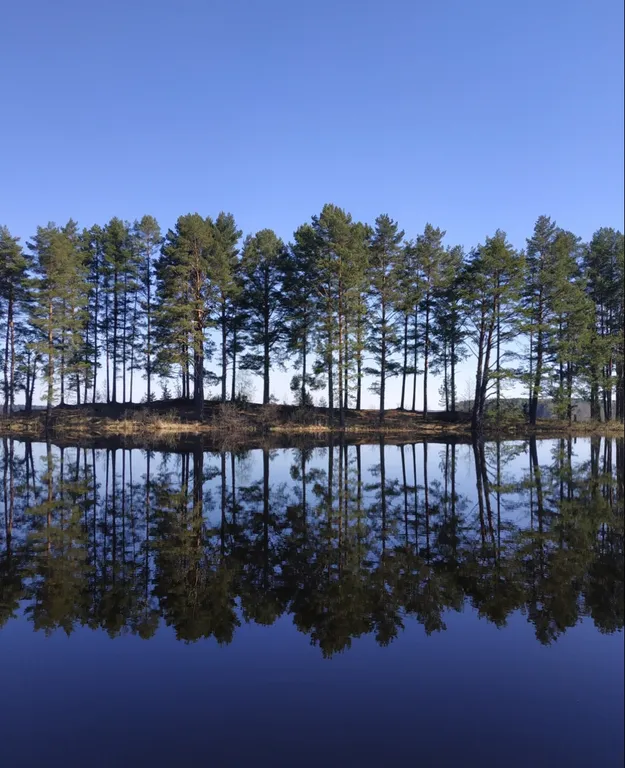 Коттедж Уютный дом на берегу озера Волго — Казаково