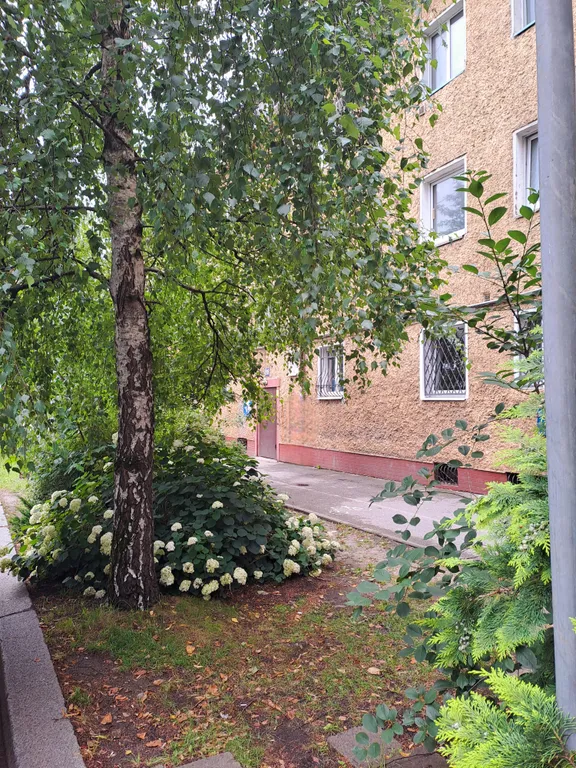 Квартира у Фридландских ворот