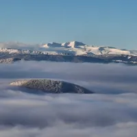 АРиНА