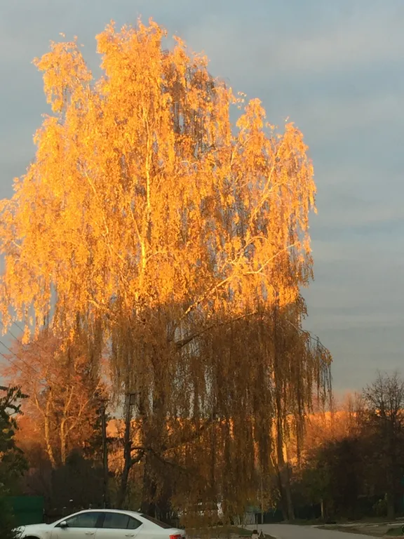 Уютный домик с видом на музей