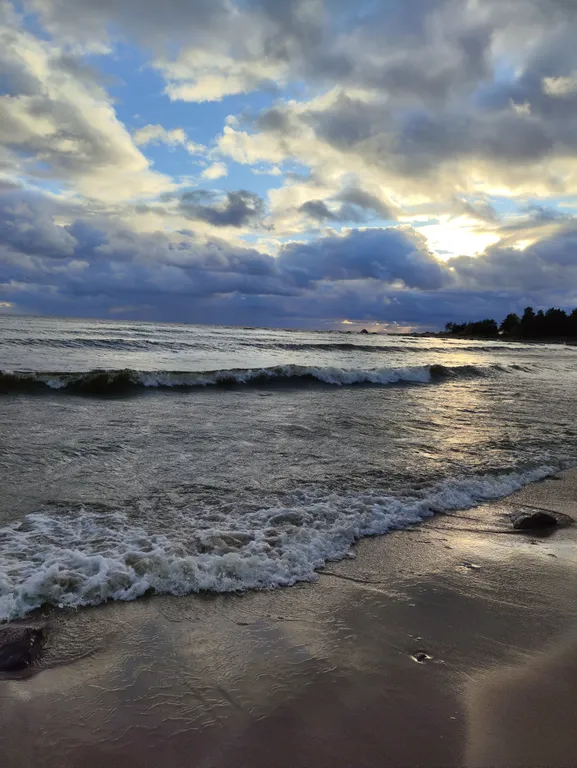 Дом в сосновом лесу у Финского залива