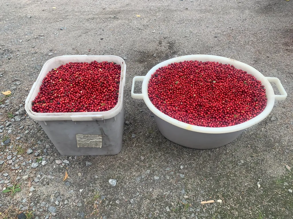 Дом на берегу Онежского озера